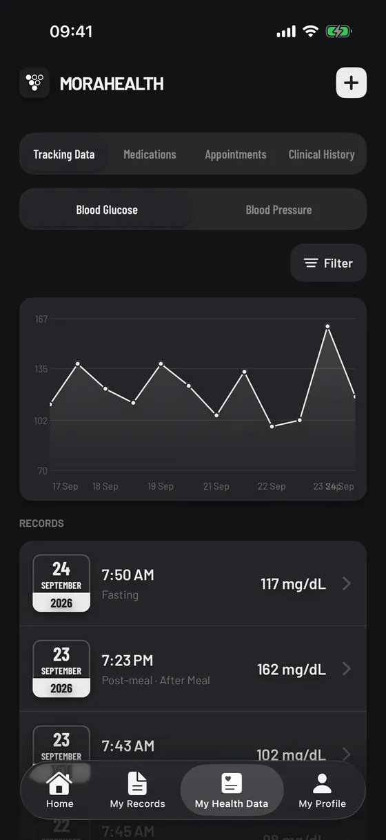 Blood glucose chart on iPhone
